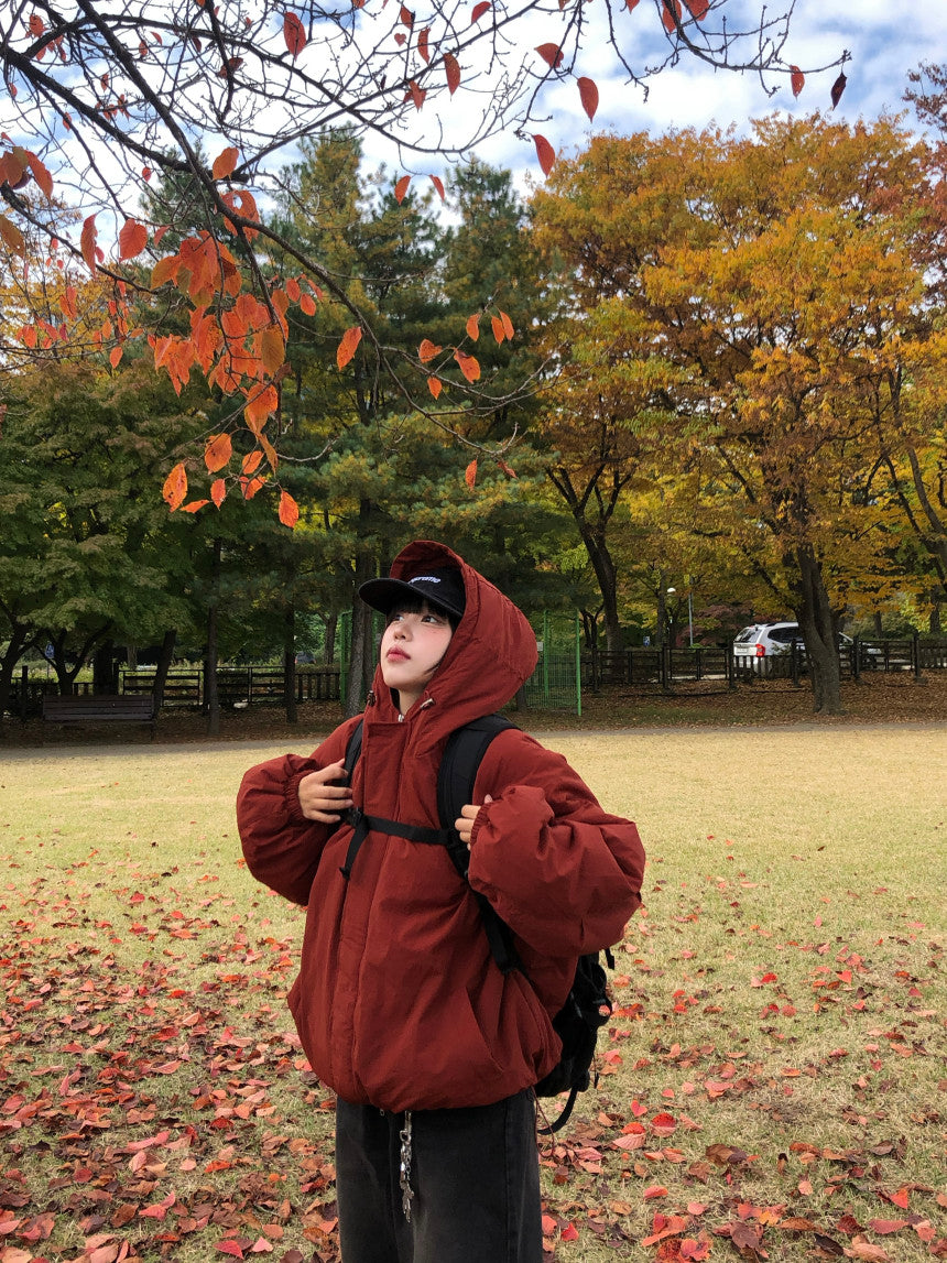 可調抽繩 雙拉鍊 極簡 寬鬆 連帽 羽絨外套 / 3色