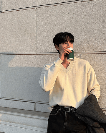 簡約 羅紋V領 莫代爾 針織衫 / 6色