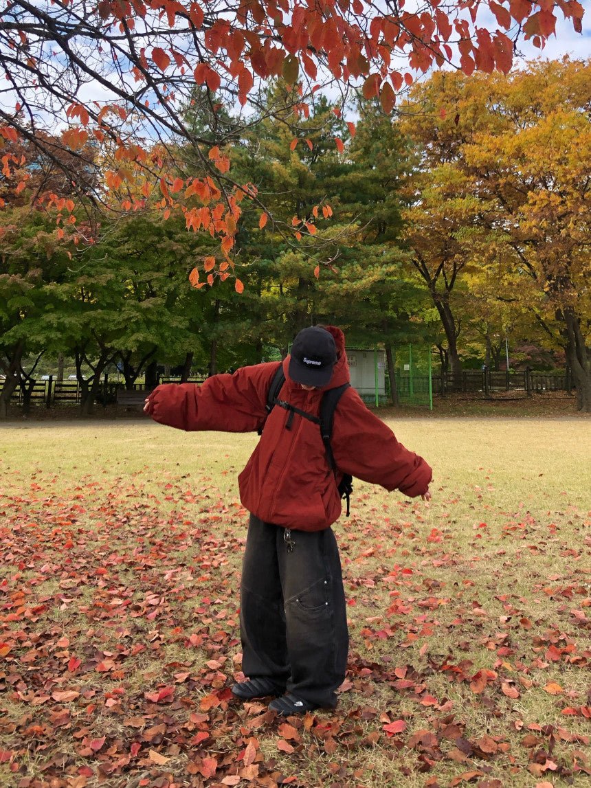 可調抽繩 雙拉鍊 極簡 寬鬆 連帽 羽絨外套 / 3色 - WHATEVER