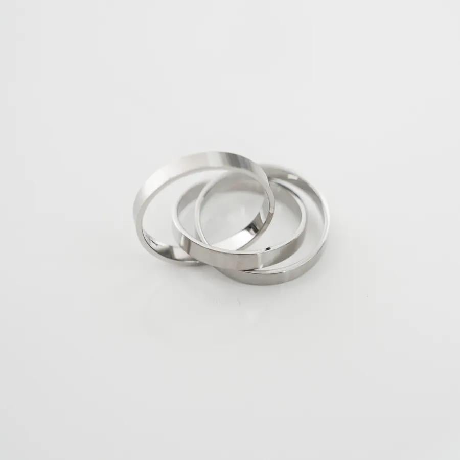 316L Triple Surgical Steel Ring / 2色 - WHATEVER