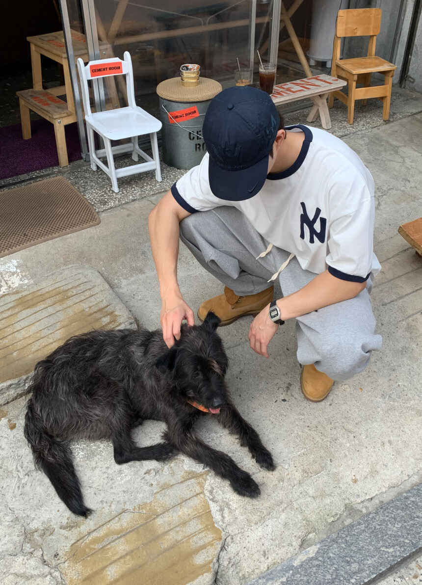 復古 刺繡 短版 NY Ringer 短袖 T恤 / 3色 - WHATEVER STUDIO